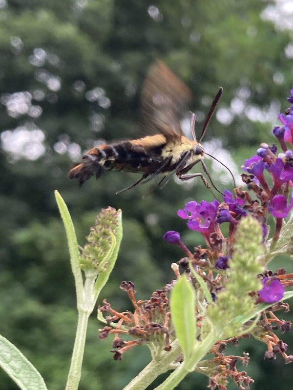 0D1E2631-4C0E-4DDD-A908-D5E25B54F085