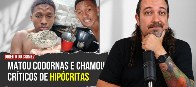 Youtuber brasileiro mata codornas em vídeo e chama de hipócrita quem o critica, mas come carne