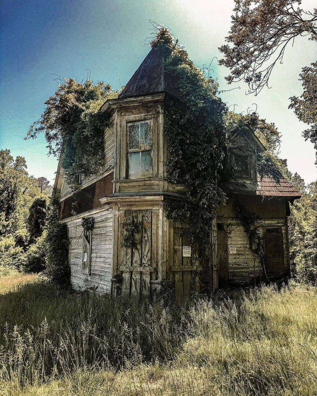 FB_IMG_1655677008697