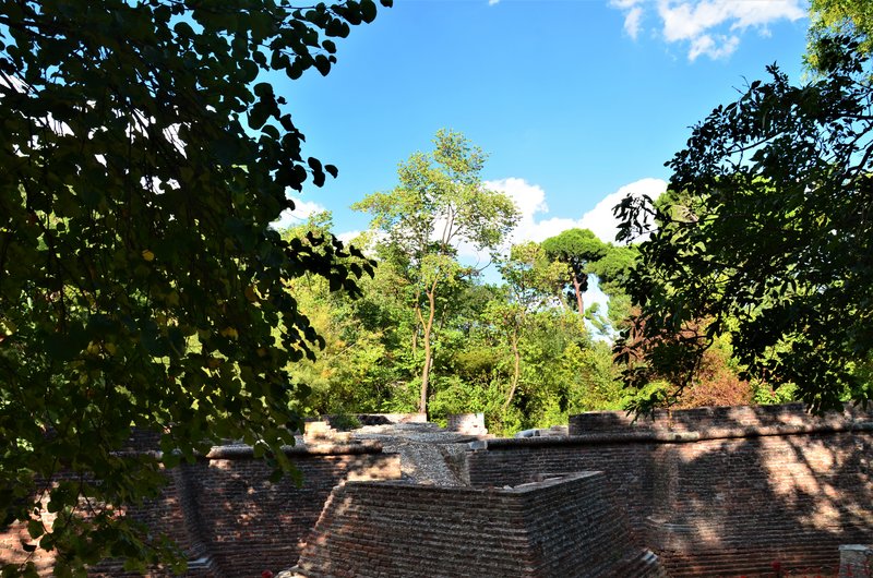 PARQUE EL CAPRICHO-2013-2022-MADRID - Paseando por España-1991/2016 (181)