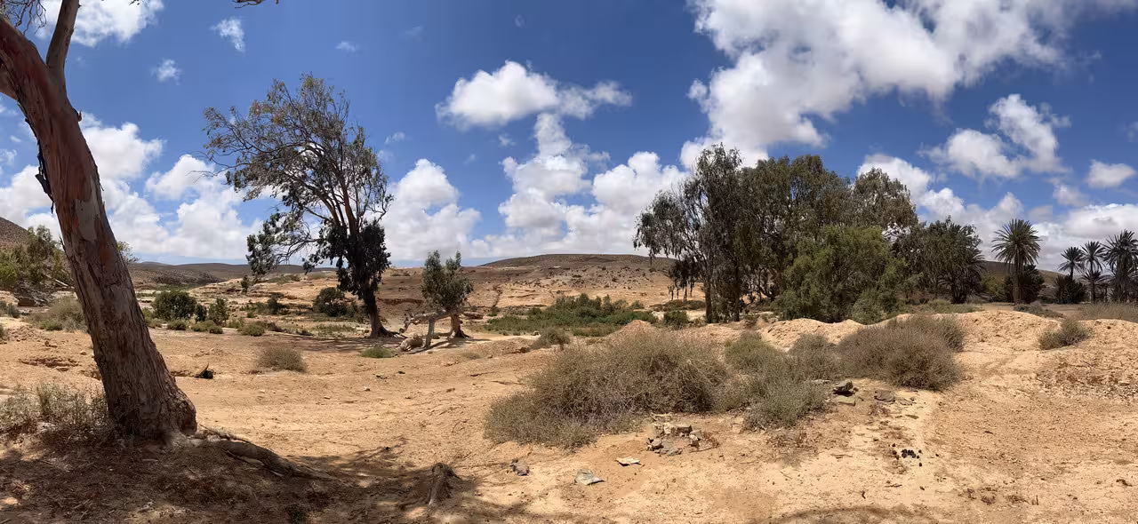 La Plage Blanche (Sidi Ifni) y Fort Boujeriff, Naturaleza-Marruecos (52)