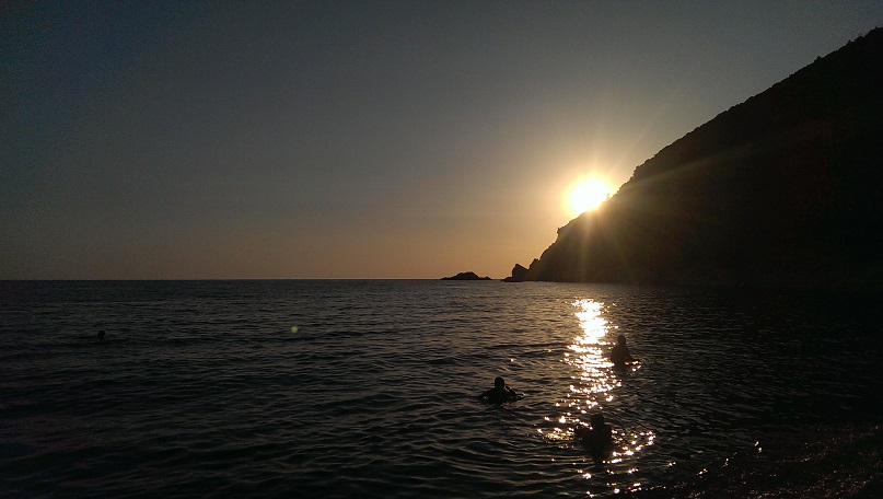 IMAG3545