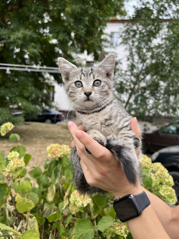 CD2604C9-21E3-462E-BD09-0304BEFE6925