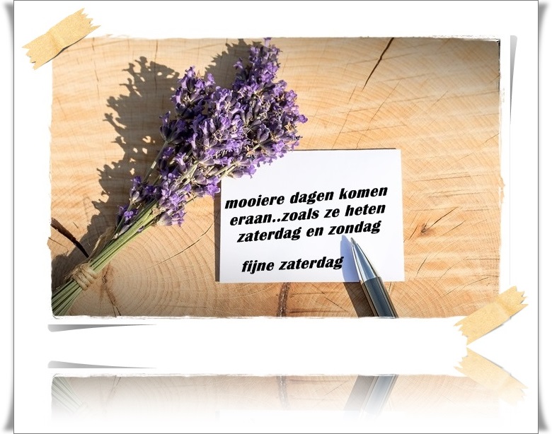 welkom opblog Bunic Jos