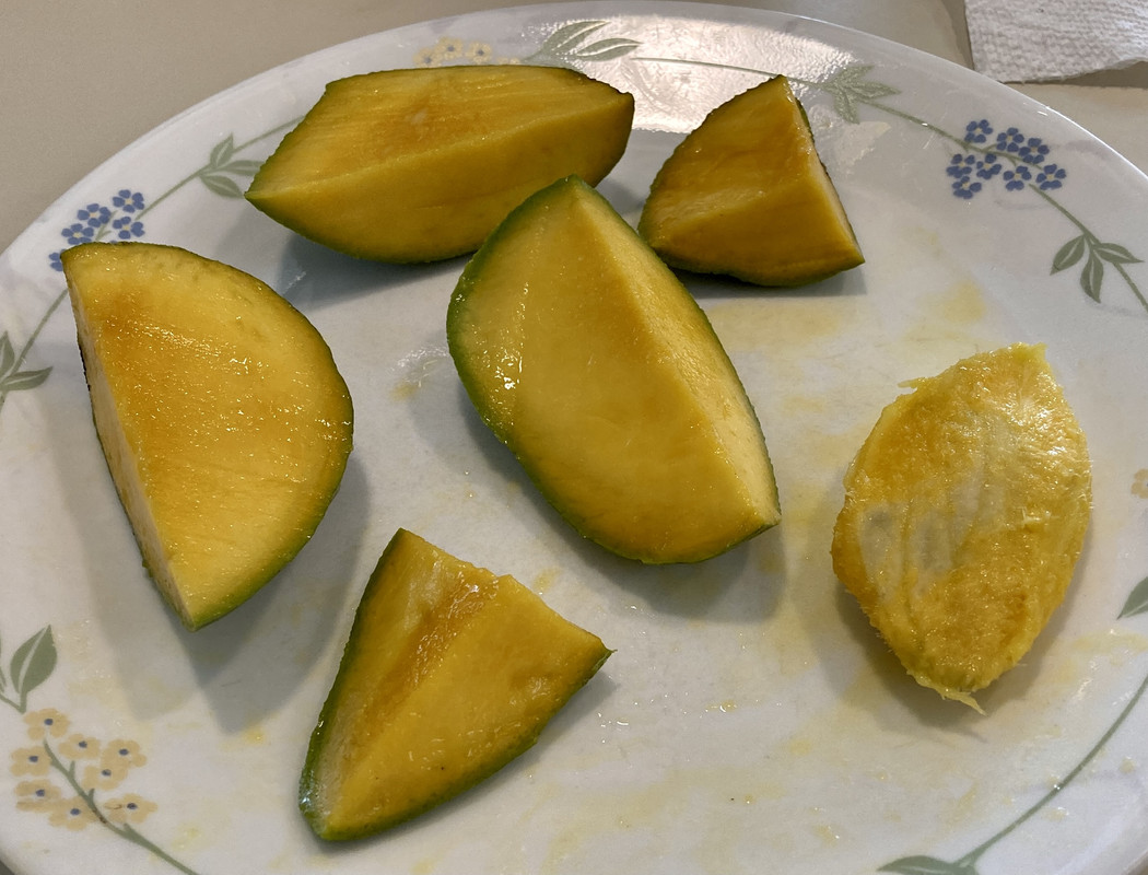 E202E09E-01E6-40CF-8CCC-4B05023C5820