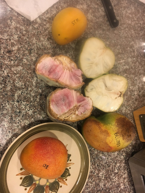 7E9C169E-E290-440E-AC1F-D54AF1C55982