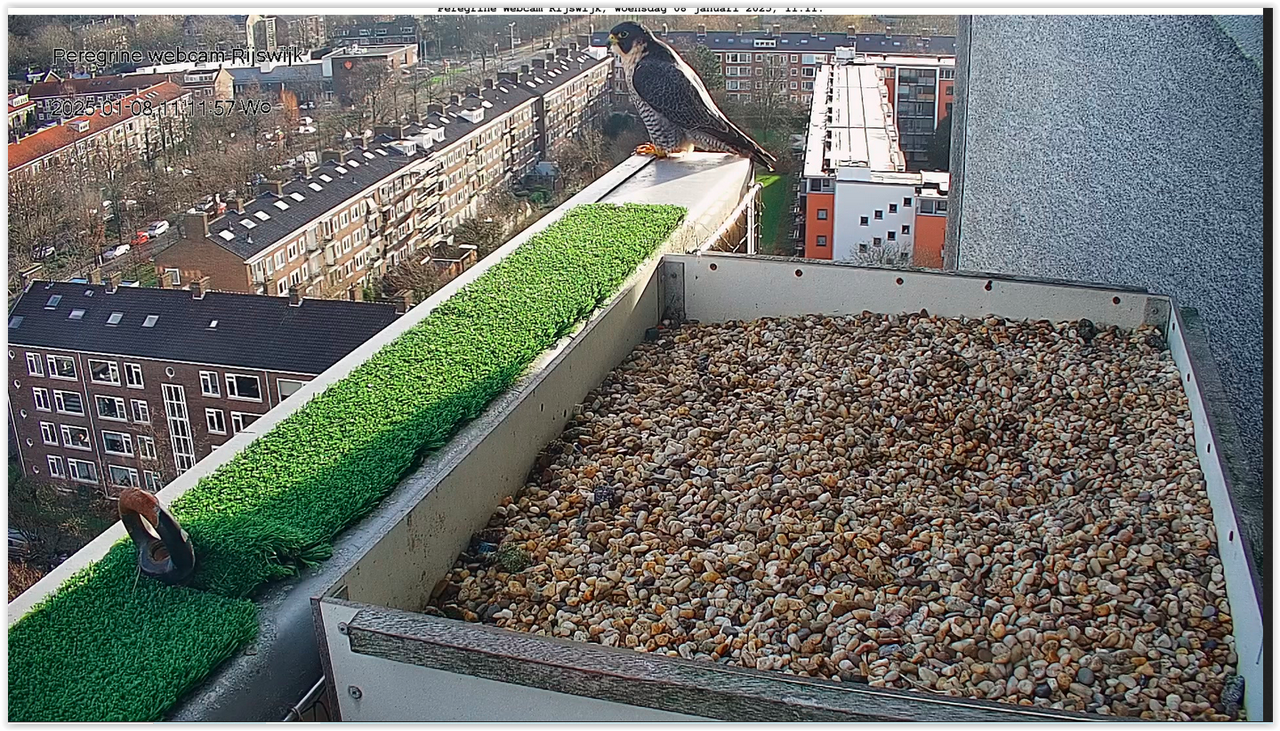 Screen Shot 01-08-25 at 11.11 AM