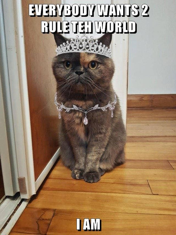 bow-before-me