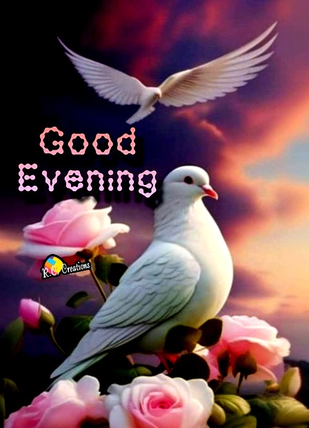 evening3