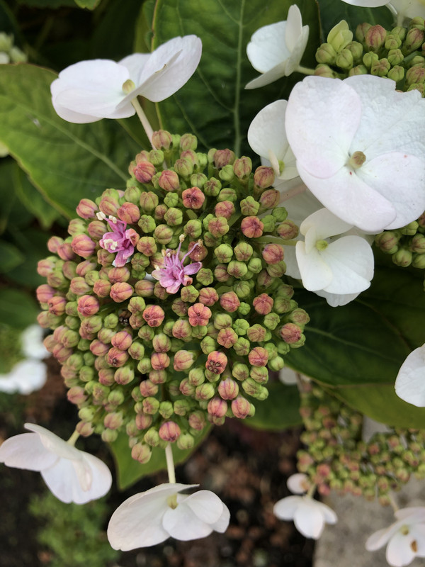 EE747CC9-8D69-4D5E-ABE4-33C267894776