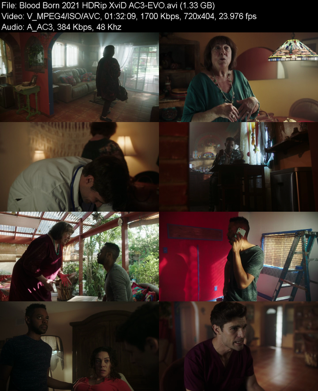 blood-born-2021-hdrip-xvid-ac3-evo.png