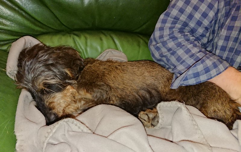 [Image: 20240123-215338.jpg]