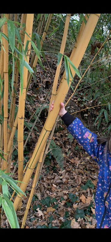 652CAFC5-D492-4D45-9746-8FF250E4EF49