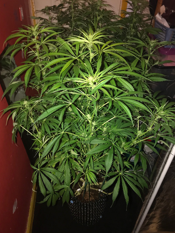 CD855573-ABA9-40B8-92BC-5EB187FB576B