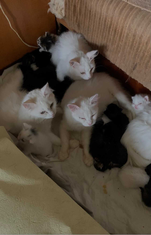 C81FB9D1-64A8-4B6A-B68C-87C55A5103F8