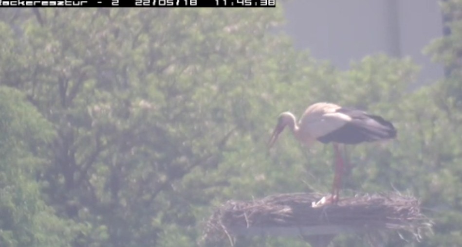 2022-05-18_121002itt érkezett