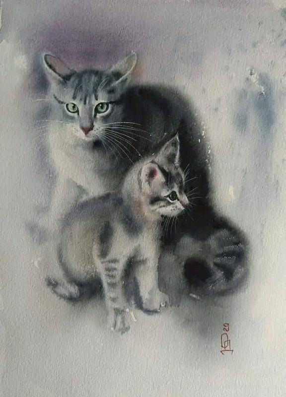 46