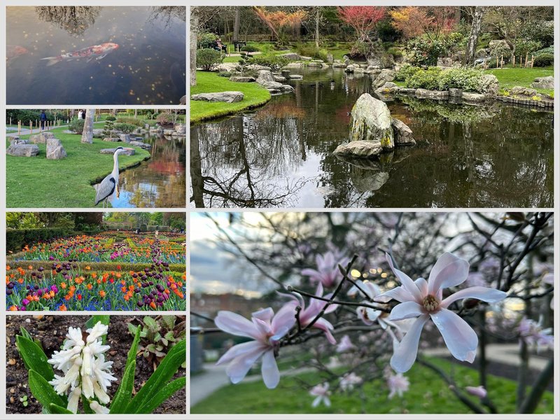 [Image: IMG-2886.jpg]