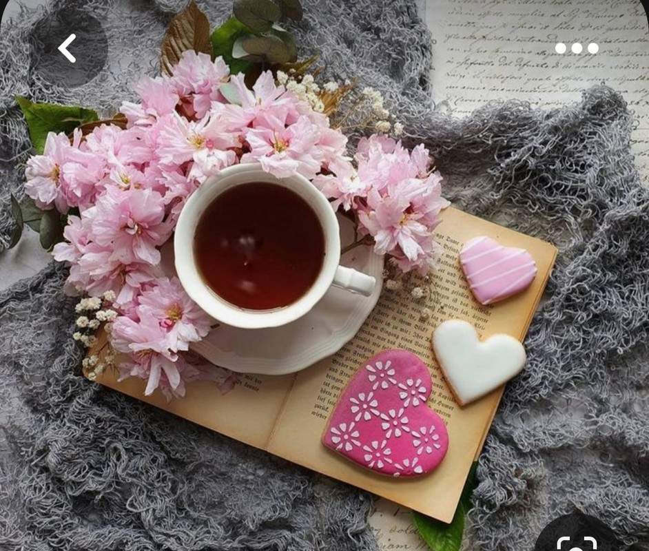 Screenshot_20230517_002011_Pinterest