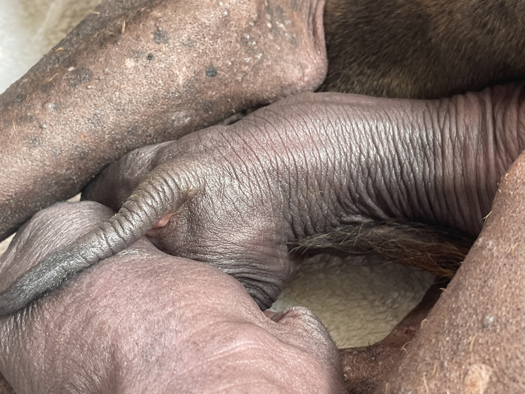 1640056A-102E-4CD1-A0B1-591E287137FA