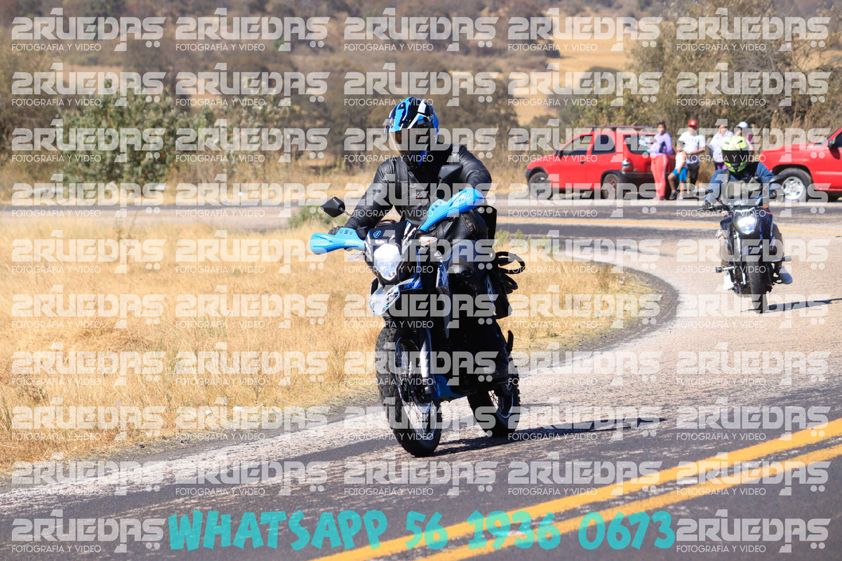 MG 1439 — Postimages