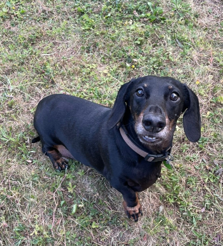 [Image: IMG-20231227-WA0006.jpg]