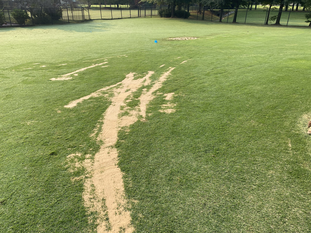 8D21FC73-3297-4ADB-A4CE-AEA81BE8139C