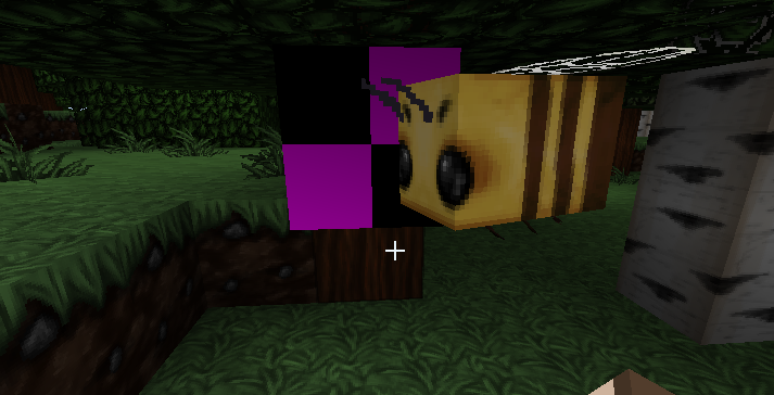 minecraft Wildbeehive texture missing
