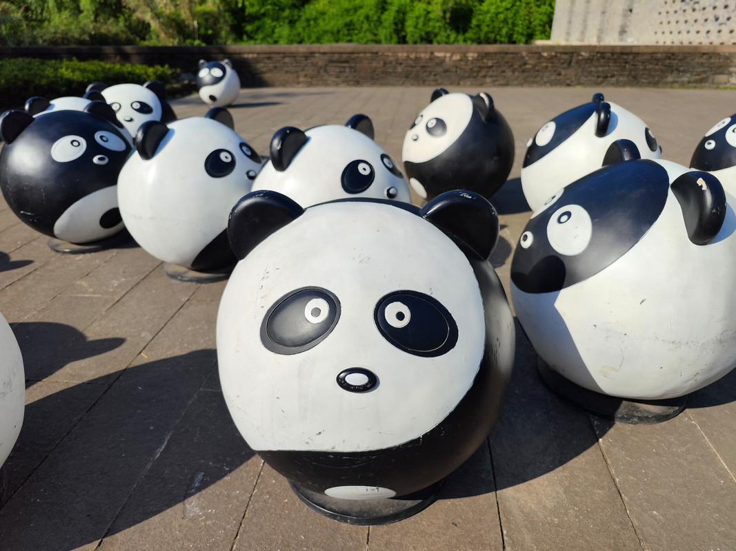 IMG_20230513_090244_副本