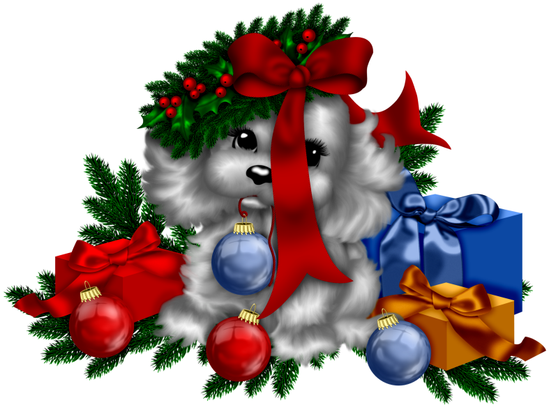 Christmasswishoffairydnmischiefpup