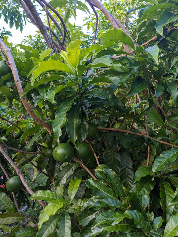 PXL_20230626_231346272