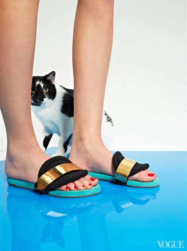 cats-kittens-flats-shoes-08-172731625587