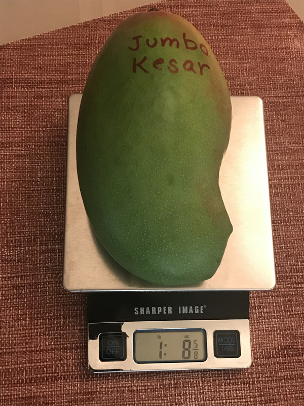 5AD6BEF5-2F12-4B3A-8AFA-77D7F7FC8D0F