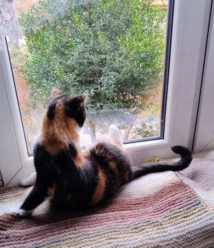 IMG 20260330 181151093 AE