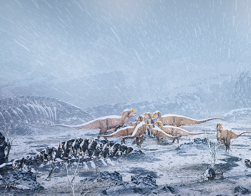 d5bc6698870217.Y3JvcCwyMTMyLDE2NjgsNzgxLDA