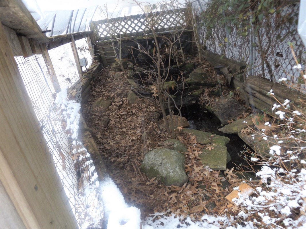 DSCF0112-2.jpg