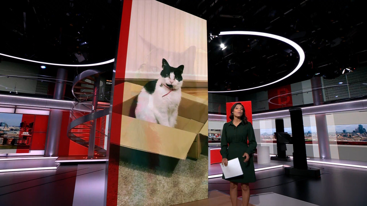 BBC London News_20230808_18301900.ts_snapshot_24.41.630