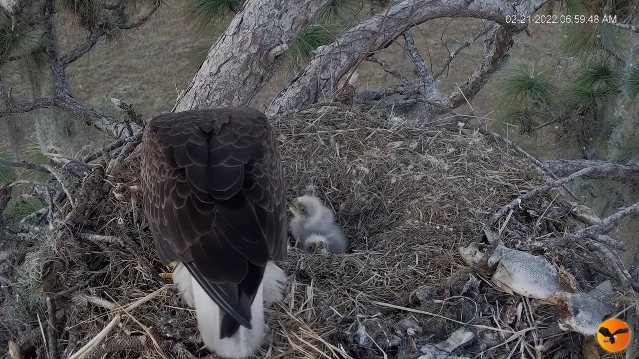 EC 4K Overhead Cam 12-59-59 screenshot