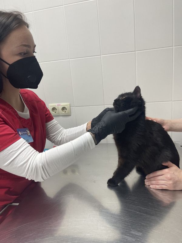 B958CC70-0D82-4E5C-B9A9-6CD1038971B2