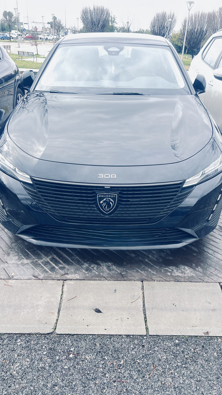 Foto Frontal Modificada