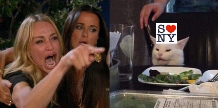 Woman-Yelling-At-ACat-meme.jpg
