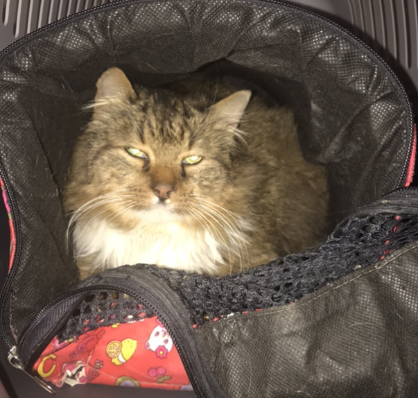 D00E897E-BAC0-48A5-95BB-1A7794428F00