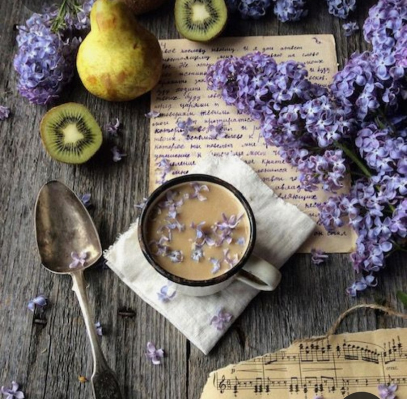 Screenshot_20230418_213829_Pinterest