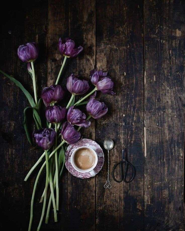 431751095_3661176204123395_7767157511767103634_n