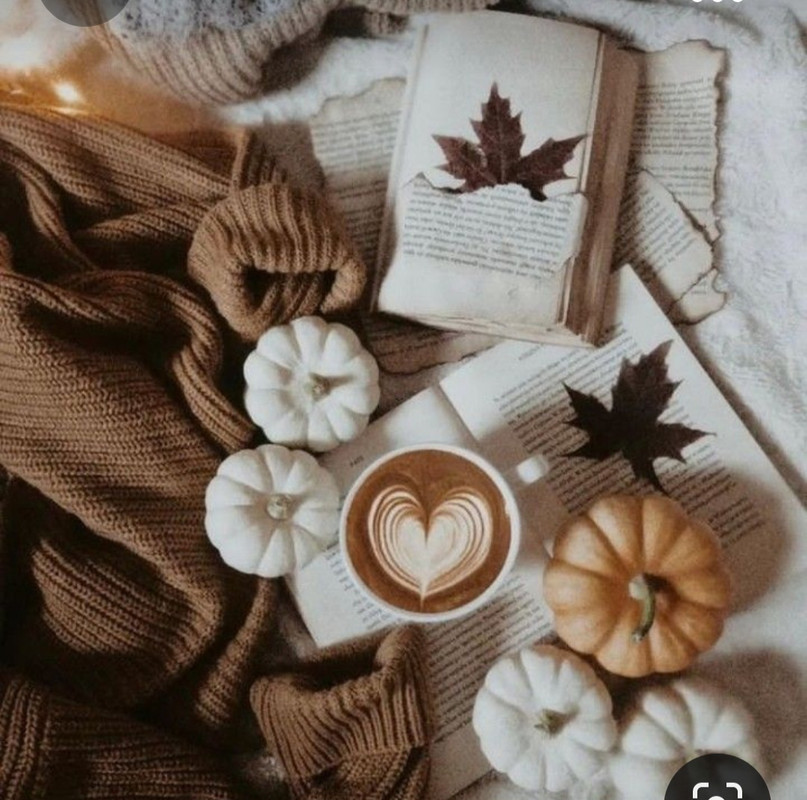 Screenshot_20231008_213537_Pinterest