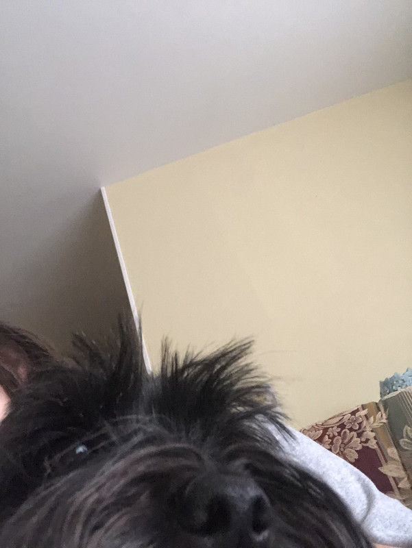 C126170F-7A26-4AD8-9372-ACDF2A70FF3A