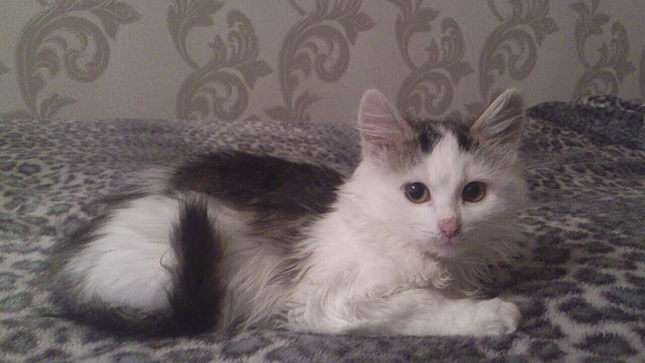 image-aae58582bd4e70a246425bff039db70e155f6bc5da