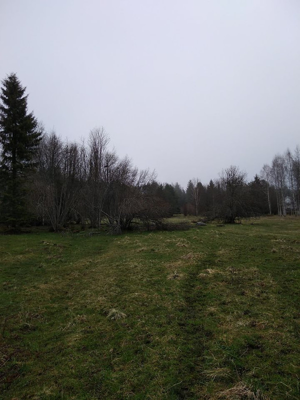 laidun