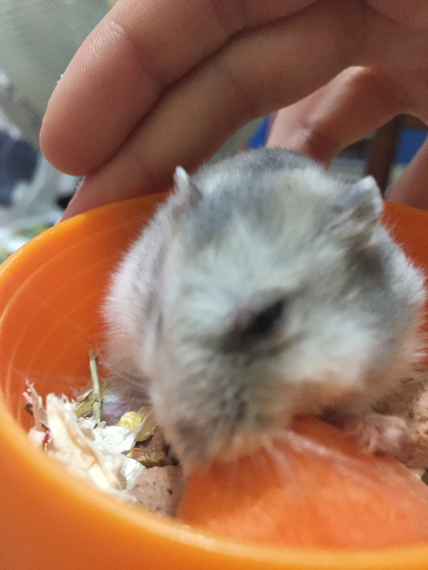 EC50FE1D-8ED3-40A4-A058-7B8C0EE1E904