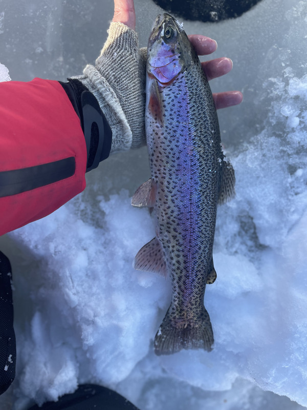 33B11973-4211-4A2C-B60D-BB00584A0CCF